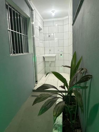 a bathroom with a potted plant and a toilet at Villa Caraguá Apartamentos in Caraguatatuba