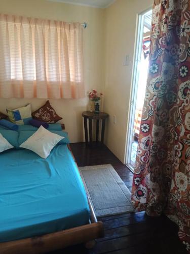 a bedroom with a bed with blue sheets and a window at Hilltop Cottage in Cabulihan