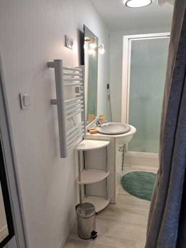 une salle de bains avec un lavabo et un miroir dans l'établissement La Tanière, à Bains-les-Bains