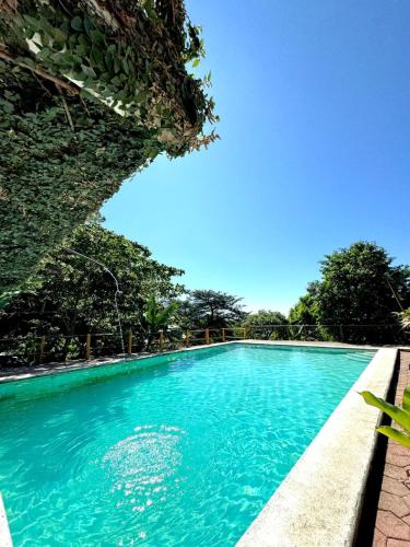 a swimming pool with blue water and trees at Finca San Antonio in Pluma Hidalgo
