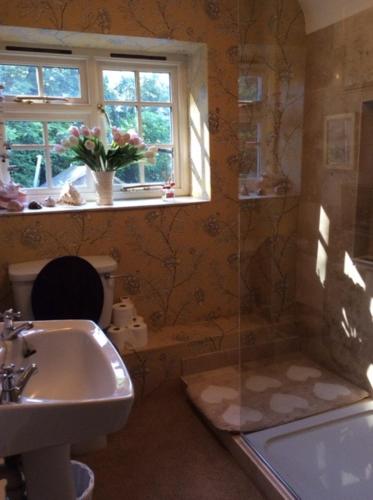 a bathroom with a shower and a sink and a toilet at Bridge Cottage in Midhurst