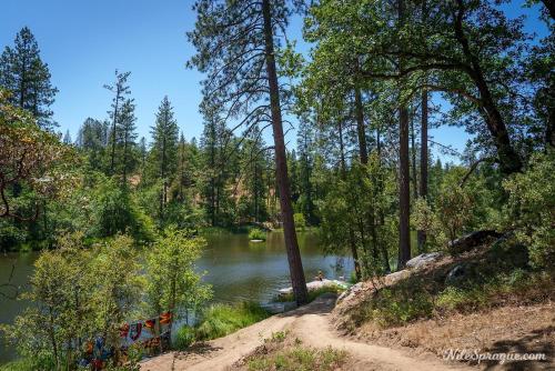 a dirt road next to a river with trees at Cedar Springs Retreats in North Fork