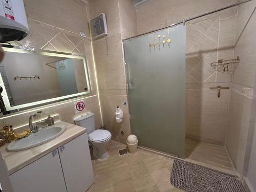 a bathroom with a shower and a sink and a toilet at Mazari in Marsa Alam City