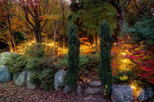 a garden at night with lights in the trees at 周囲を気にせず集まれる夜景とBBQを楽しむ一棟貸し宿gosenゴセン in Minami Alps