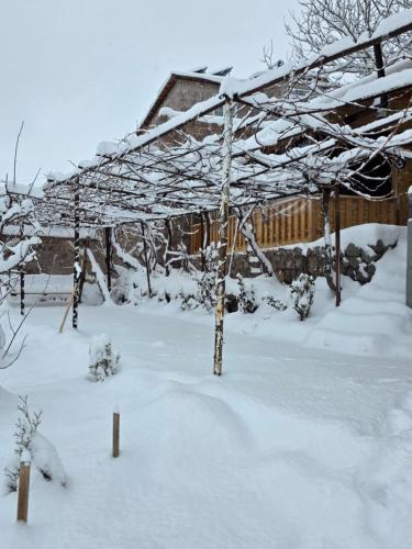 Afbeelding uit fotogalerij van Madoyans Rest House in Antarut