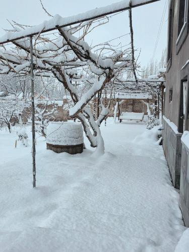 Afbeelding uit fotogalerij van Madoyans Rest House in Antarut