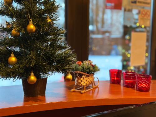 een kerstboom in een pot op een tafel bij Akme APARTMENTS & ROOMS & FREE PARKING in Gdańsk