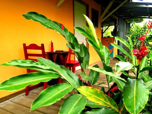 Giardino di hostal Camping la ygriega