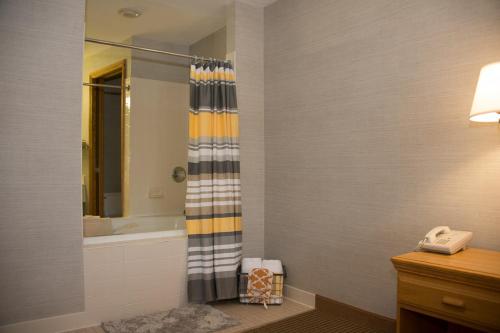 uma casa de banho com uma cortina de chuveiro e um telefone em All Seasons Resort em Kalkaska