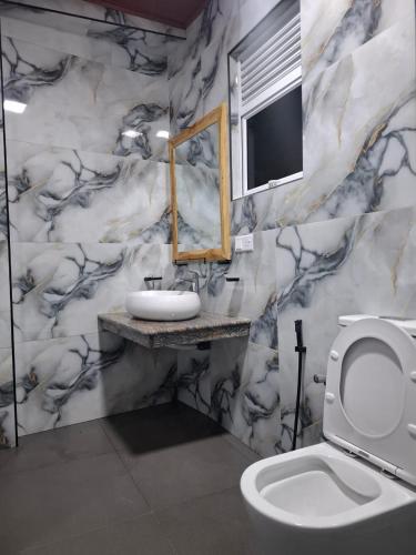 a bathroom with a toilet and a sink and a mirror at Lilly Guest Inn in Haputale