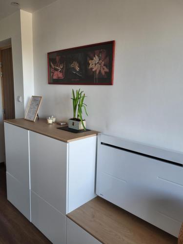 Billede fra billedgalleriet på Beautiful Studio at Geneva airport Ferney Voltaire i Ferney-Voltaire