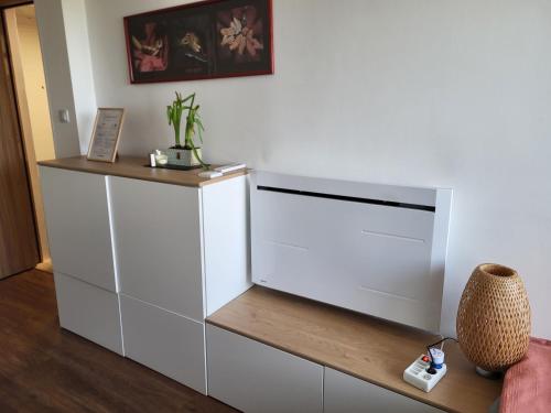 Køkken eller tekøkken på Beautiful Studio at Geneva airport Ferney Voltaire