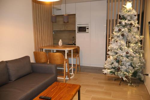 Køkken eller tekøkken på Apartmani Vidik,Treska