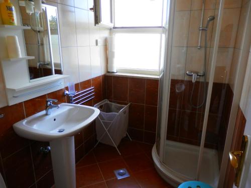 a bathroom with a sink and a shower at Apartments Nautica II in Novigrad Istria