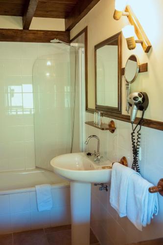 a bathroom with a sink and a shower and a mirror at Posada San Pelayo in Camaleño