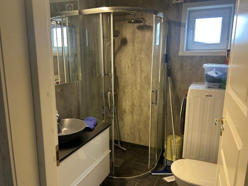 a bathroom with a shower and a sink and a toilet at Suovka reindeer & bird lodge in Varangerbotn
