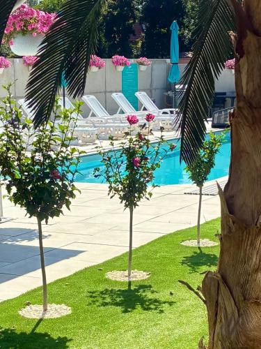 three trees with pink flowers and a swimming pool at Apartamenty AQUA MAZURY in Ełk