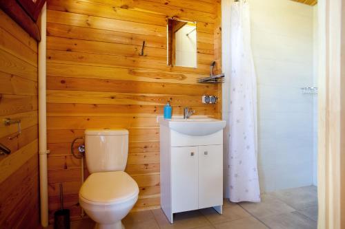 a bathroom with a toilet and a sink at Domki letniskowe KEYA in Gąski