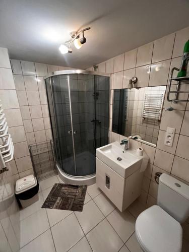 a bathroom with a shower and a toilet and a sink at Agro Ranczo - Domek na wynajem in Przysietnica