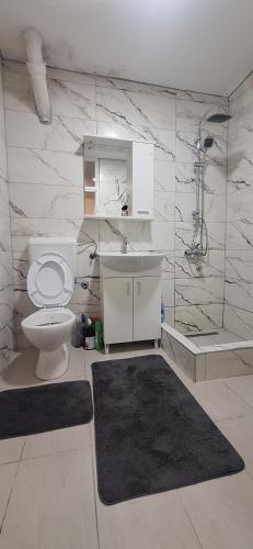 un bagno con un water, un lavandino e uno specchio di Tamara a Drvar