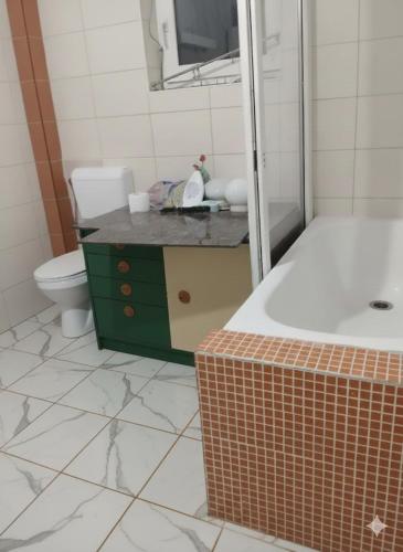 a bathroom with a sink and a toilet and a tub at Summer Garden View in Belgrade