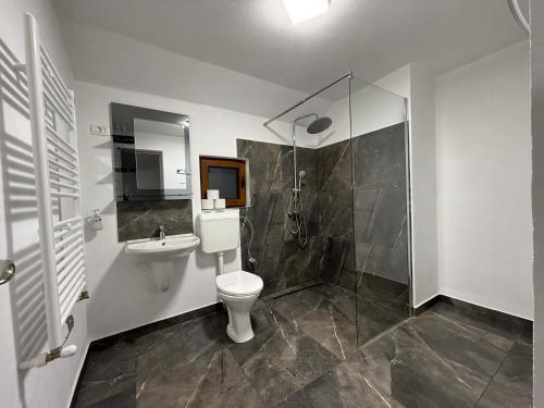 a bathroom with a toilet and a sink and a shower at Casa Lupilor 2 Vidraru in Căpăţîneni-Ungureni