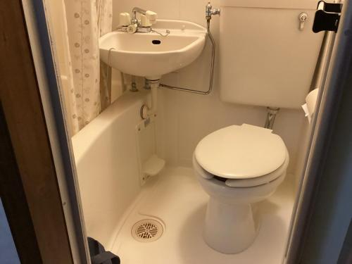 een kleine badkamer met toilet en wastafel bij 森のハイジ in Azumino