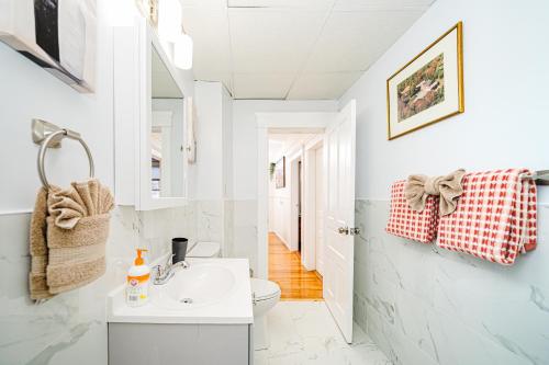 a bathroom with a sink and a toilet at Cozy 3BR Worcester 1st-floor Apt, Pet-Friendly, Near Clark University, Free Parking 4-1 in Worcester
