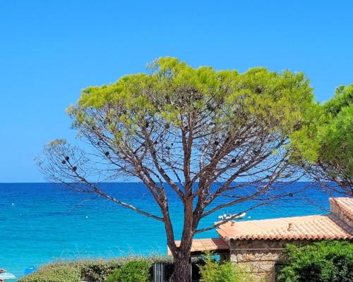 Dormir en Corse du Sud T3 4 pers Vue Mer, Plage à pied
