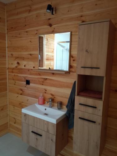 a bathroom with a sink and a mirror at Miodowa cisza in Szafarnia
