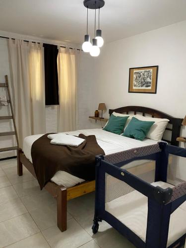 a bedroom with a bed and a ladder in it at Casita campestre in Cacheuta