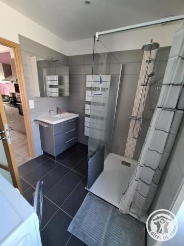 a bathroom with a shower and a sink at Le chapelou in Égletons