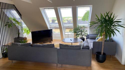 a living room with a couch and potted plants at Rækkehus tæt på skov, sø og by in Viborg
