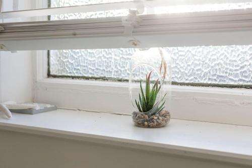 a plant sitting on a window sill in front of a window at Overton - Elie in Elie