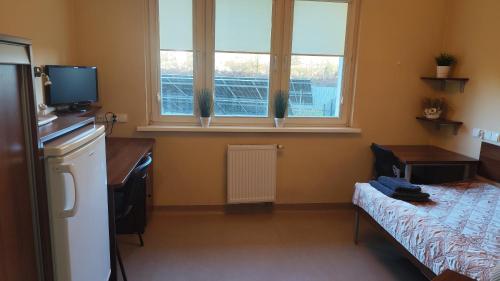 een slaapkamer met een bed en een bureau en twee ramen bij Dom Studencki Zbyszko in Poznań