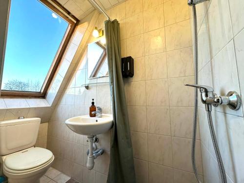 een badkamer met een toilet, een wastafel en een douche bij I&A Residence Humala in Tallinn