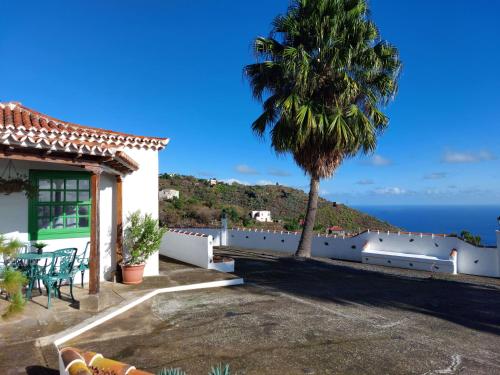 a house with a palm tree and the ocean at Peluquina in Barlovento