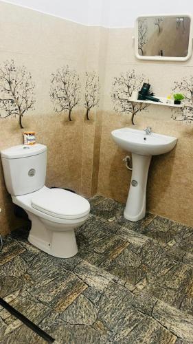 a bathroom with a toilet and a sink at Shaa Home Stay Sigiriya in Sigiriya