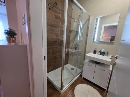 een badkamer met een douche en een wastafel bij Liman 5 Riverside 209 i 109 with Free Private Parking in Novi Sad