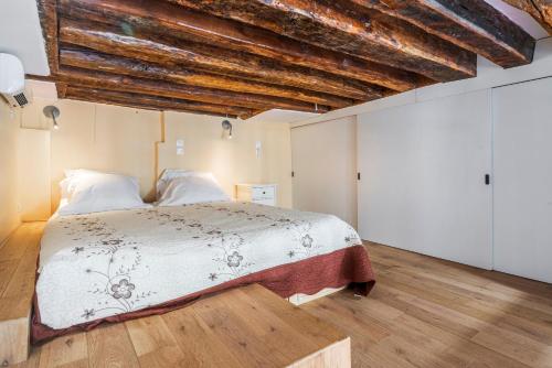 Paris Center Loft