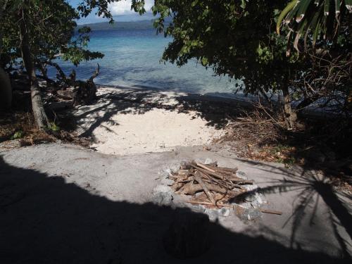 a pile of wood on a beach near the water at Tranquility Island Eco Dive Resort in Moso Island