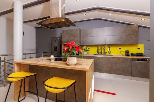 Einzigartiges Penthouse Apartment mit herrlichem Meerblick, Hundefreundlich, Privatparkplatz