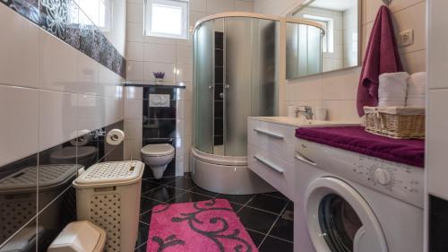 un bagno con lavatrice e lavandino di Holiday home Ostojic by Villas Guide a Peračko Blato