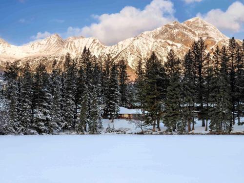 een groep bomen voor een met sneeuw bedekte berg bij Fairmont Jasper Park Lodge in Jasper