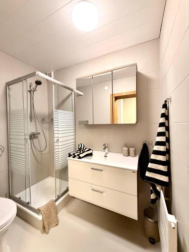 a bathroom with a shower and a sink and a toilet at Alps Living Söll in Söll