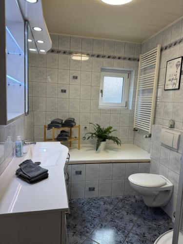 a bathroom with a toilet and a sink at ausZEITlarn - Apartment in Zeitlarn