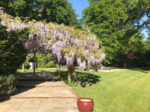 Galeriebild der Unterkunft 6 Bed in Haslemere oc-c34083 in Hindhead