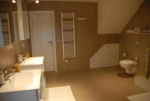 a bathroom with a toilet and a sink at Stone House in Svetvinčenat