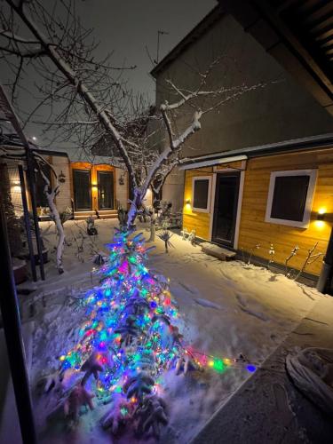 エレバンにあるDream Houseの雪の中にライトで飾られたクリスマスツリー