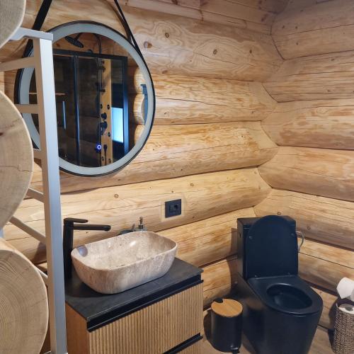 a bathroom with a stone sink and a toilet at Sparrow's Nest Spacious Mountain Chalet with Hot Tub and Panoramic Views in Râşnov